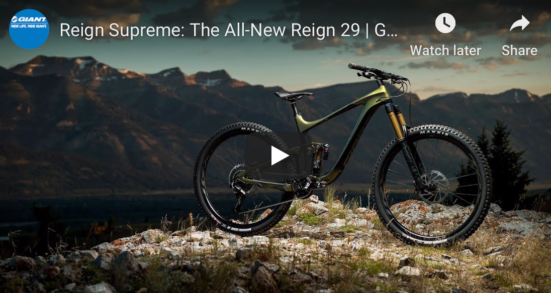 2020. Reign Launched.